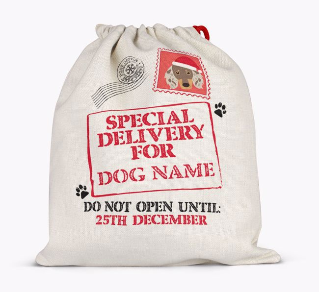 Special Delivery for {dogsName}: Personalized {breedFullName} Santa Sack